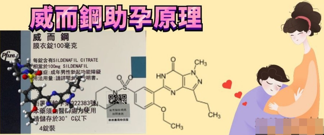 威而鋼如何助孕? 威而鋼如何助孕?