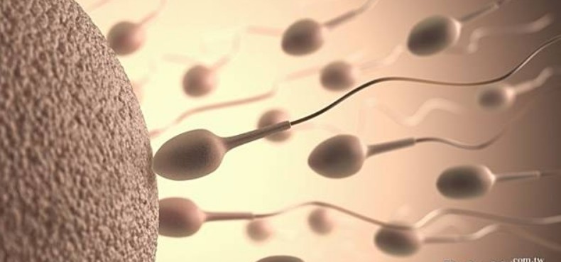 男性助孕案例解析 男性助孕案例解析