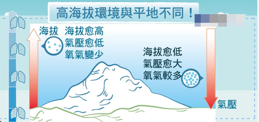成因分析