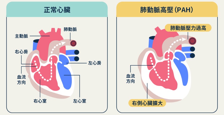 輔助治療其他疾病