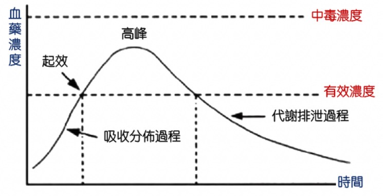 藥物的積累效應