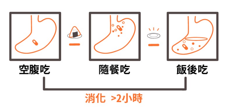 什麼是空腹服藥？