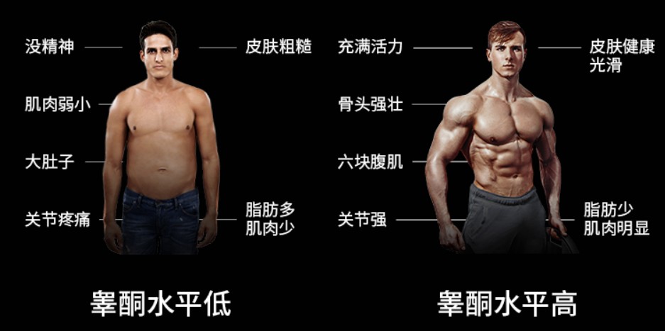 睪酮水平過低 睪酮水平過低
